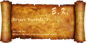 Brust Kornél névjegykártya